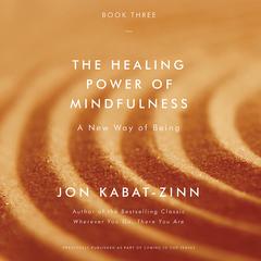 The Healing Power of Mindfulness: A New Way of Being Audiobook, by Jon Kabat-Zinn