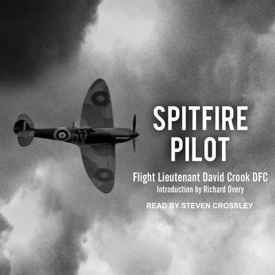 Spitfire Pilot Audiobook, by David M.  Crook