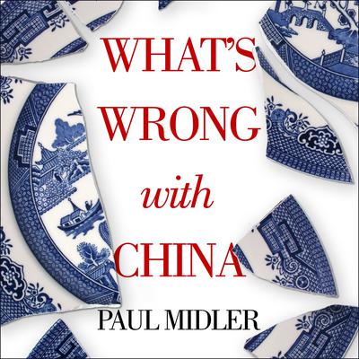 What's Wrong with China Audiobook, by 