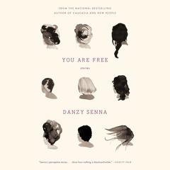 You Are Free: Stories Audiobook, by Danzy Senna