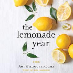 The Lemonade Year: A Novel Audiobook, by Amy Willoughby-Burle