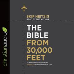 Bible from 30,000 Feet: Soaring Through the Scriptures in One Year from Genesis to Revelation Audiobook, by Skip Heitzig