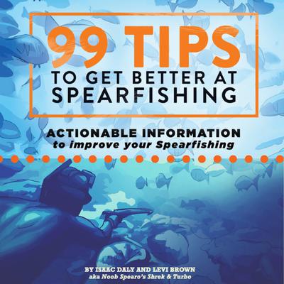 99 Tips to Get Better at Spearfishing: Actionable Information to Improve Your Spearfishing Audiobook, by Levi Brown