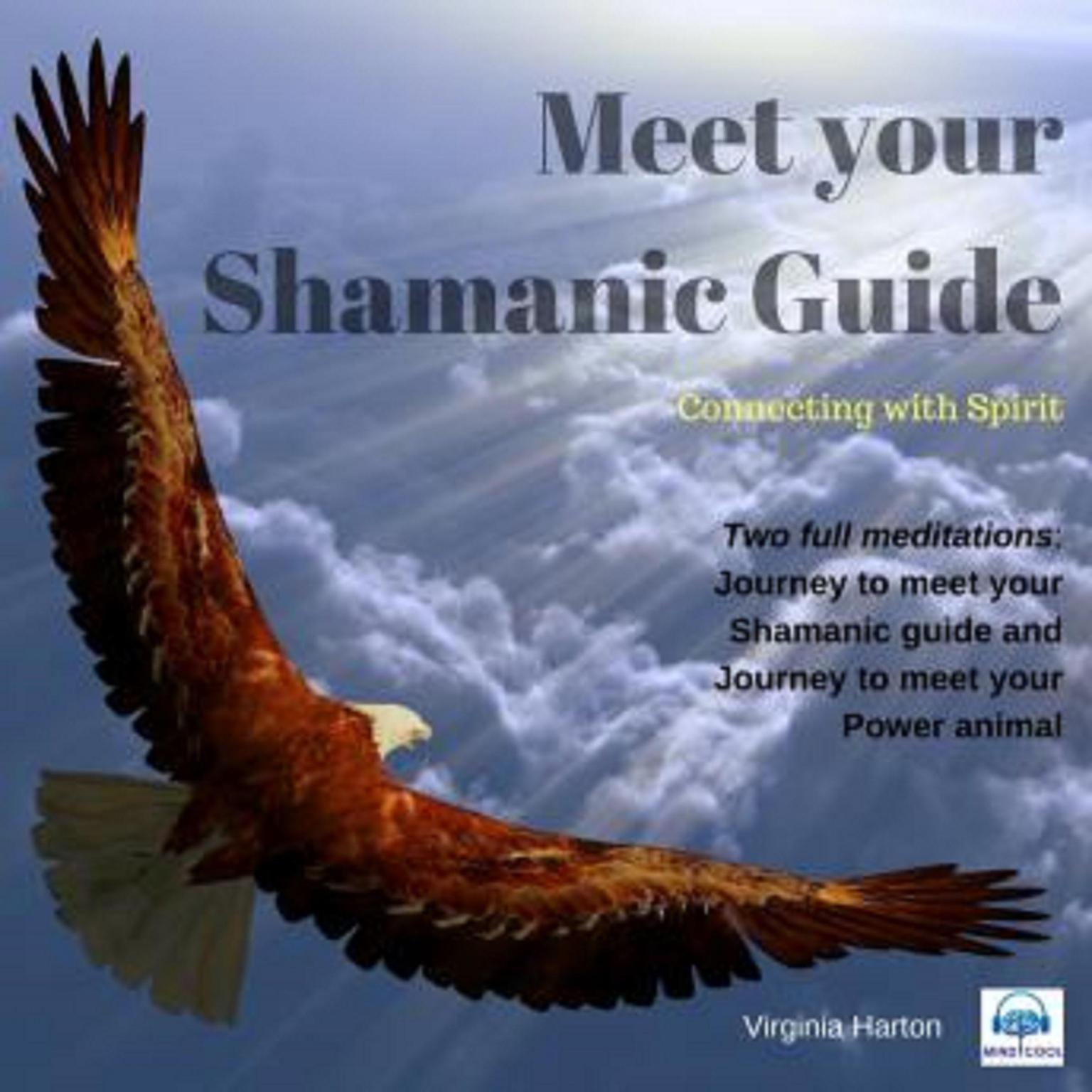 Meet your Shamanic Guide Audiobook, by Virginia Harton