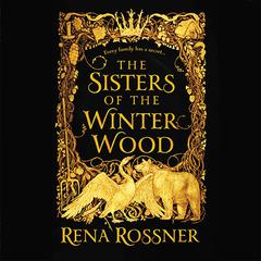 The Sisters of the Winter Wood Audiobook, by Rena Rossner