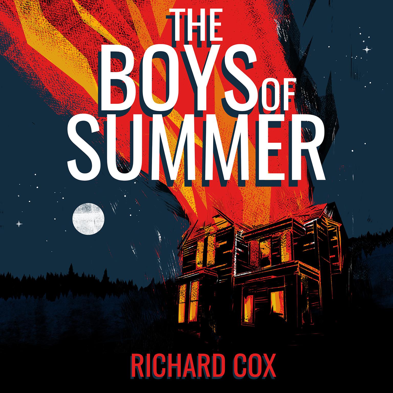 The Boys of Summer: A Novel Audiobook, by Richard Cox