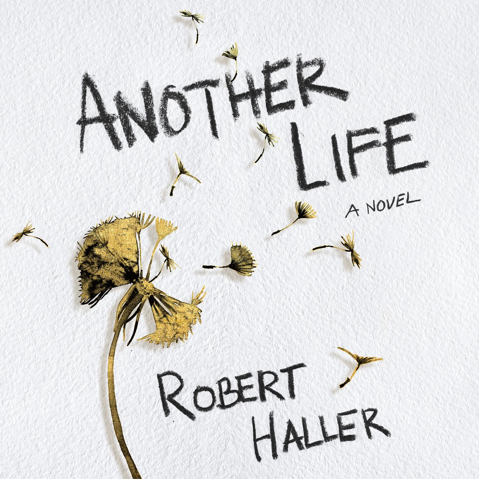 Another Life: A Novel Audiobook, by Robert Haller