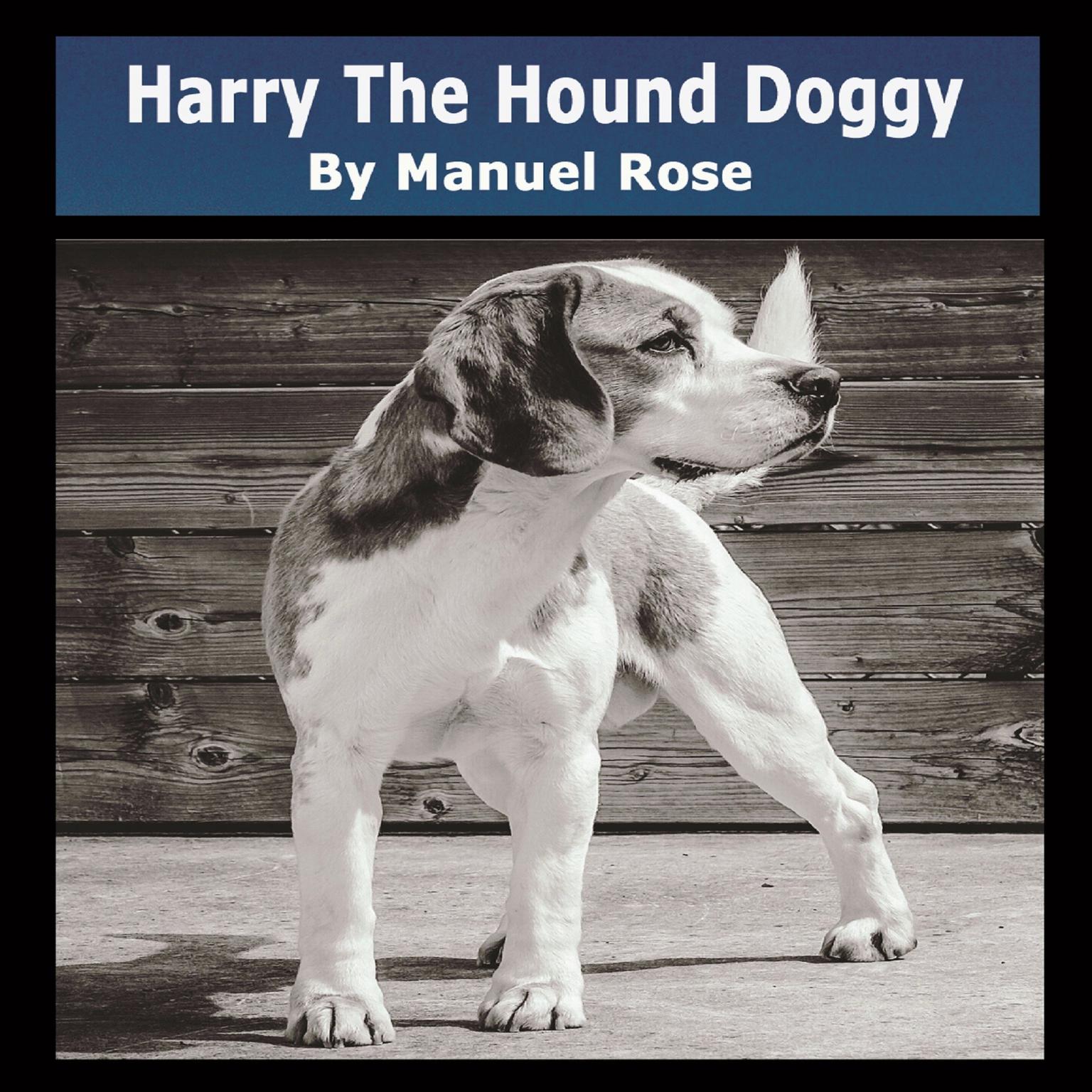 Harry The Hound Doggy Audiobook, by Manuel Rose
