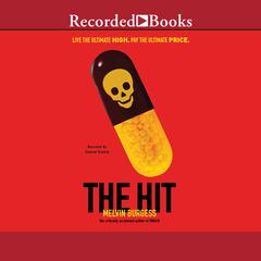 The Hit Audiobook, by Melvin Burgess