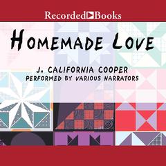 Homemade Love Audiobook, by 