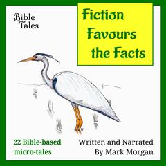 Fiction Favours the Facts Audiobook, by Mark Morgan