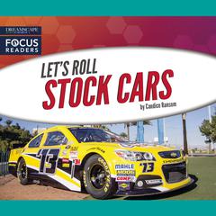 Stock Cars Audiobook, by Candice Ransom