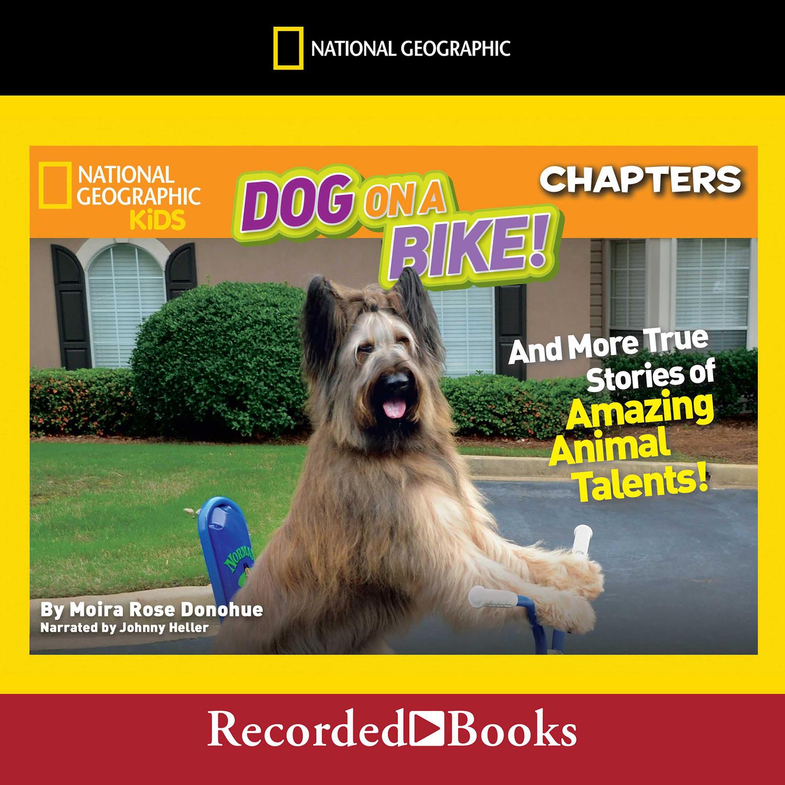 National Geographic Kids Chapters: Dog on a Bike: And More True Stories of Amazing Animal Talents! Audiobook, by Moira Rose Donohue