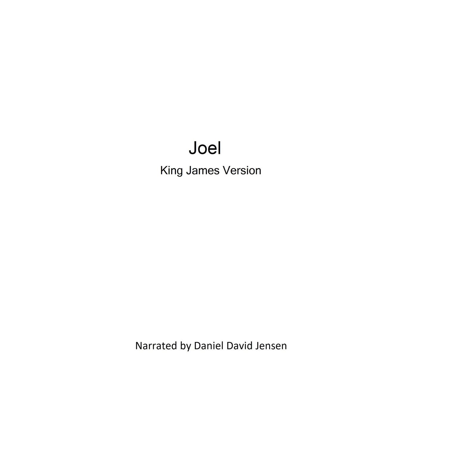 Joel Audiobook, by KJB AV