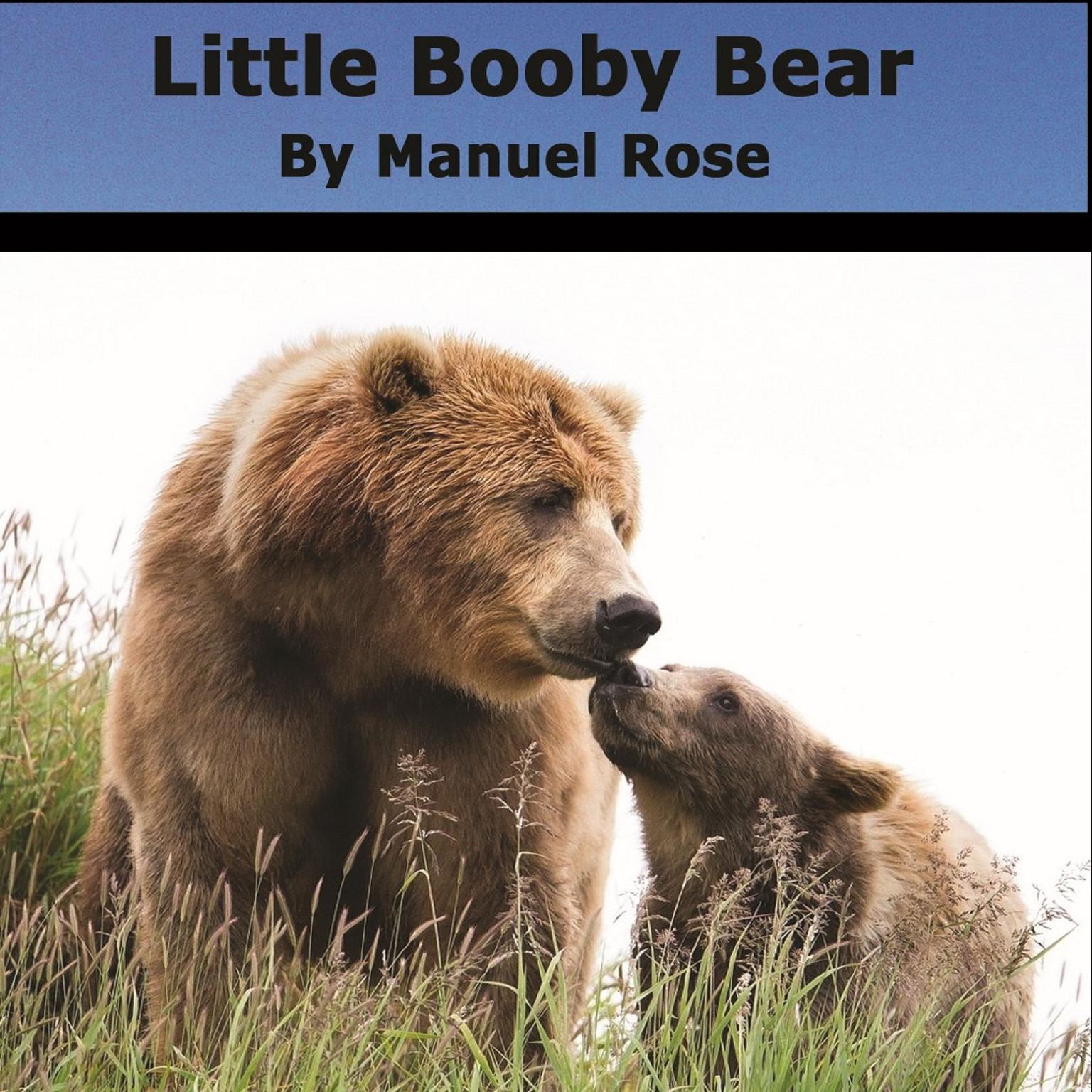 Little Booby Bear Audiobook, by Manuel Rose