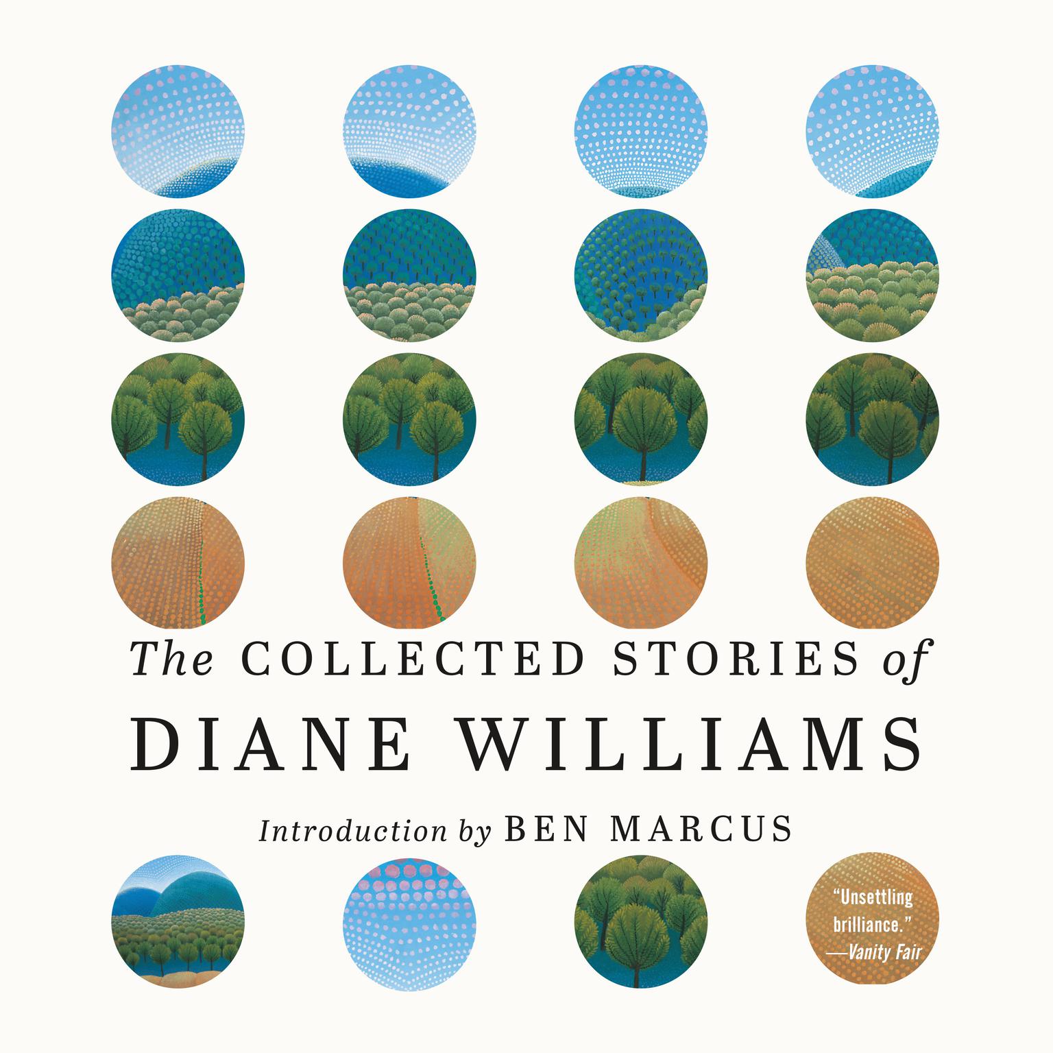 The Collected Stories of Diane Williams (Abridged) Audiobook, by Diane Williams