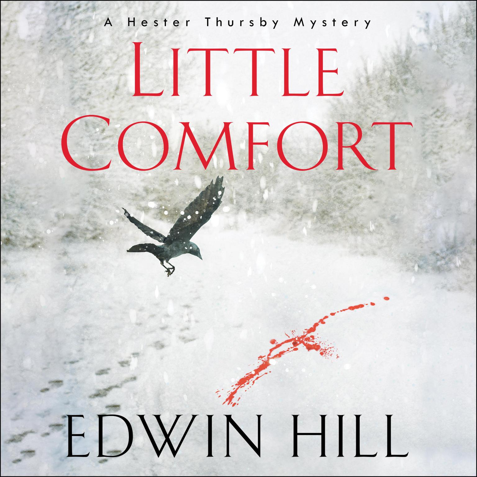 Little Comfort Audiobook, by Edwin Hill