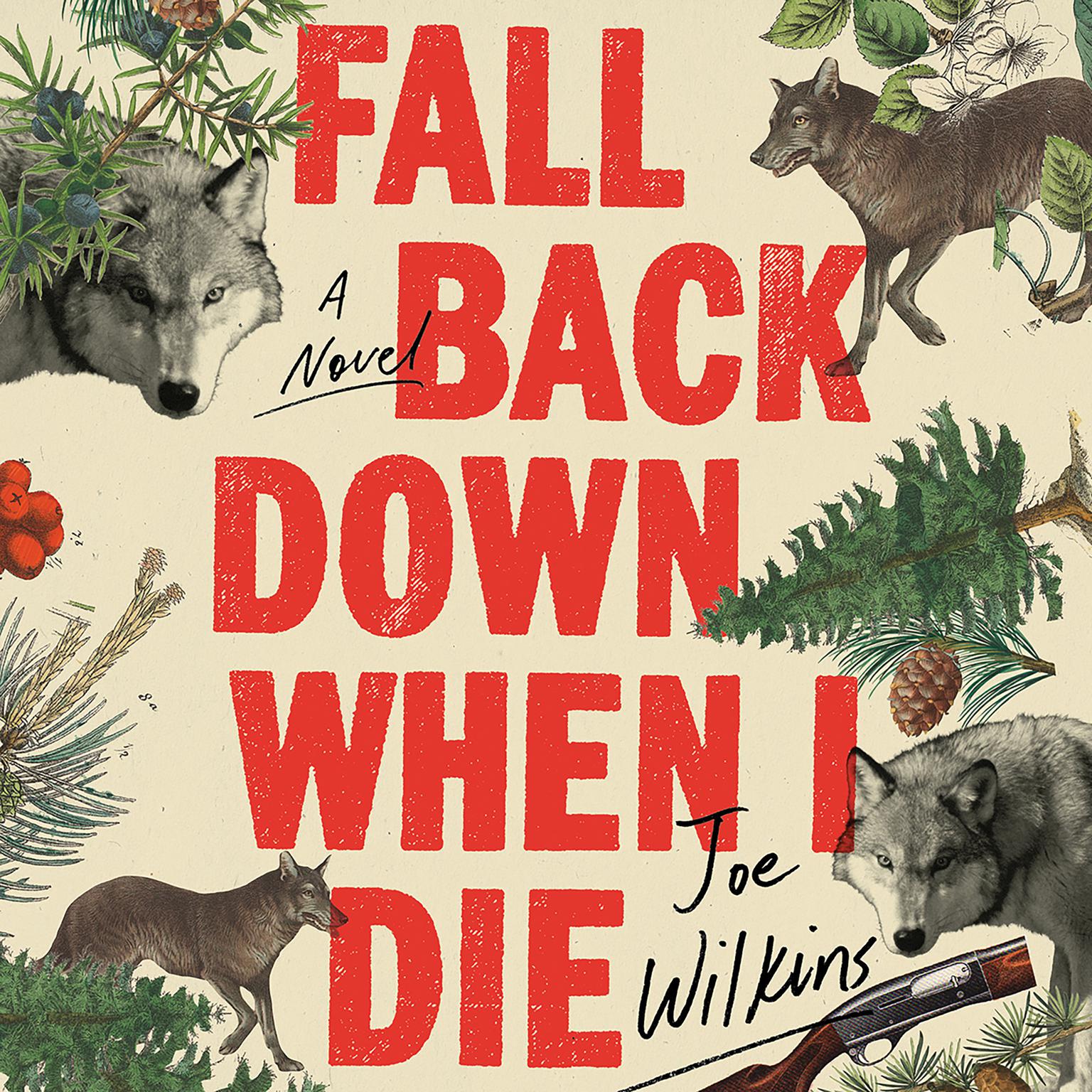 Fall Back Down When I Die Audiobook, by Joe Wilkins