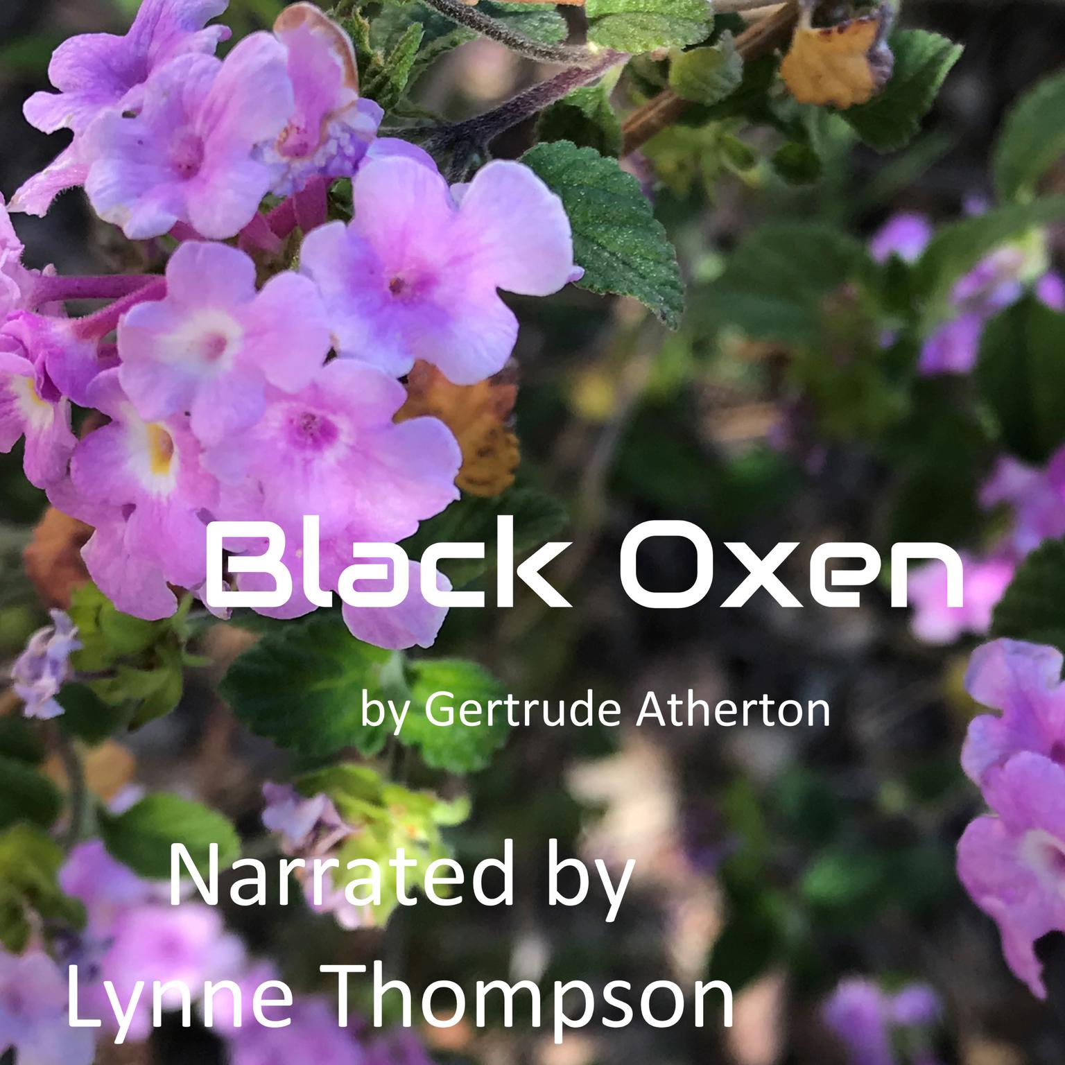 Black Oxen Audiobook, by Gertrude Atherton