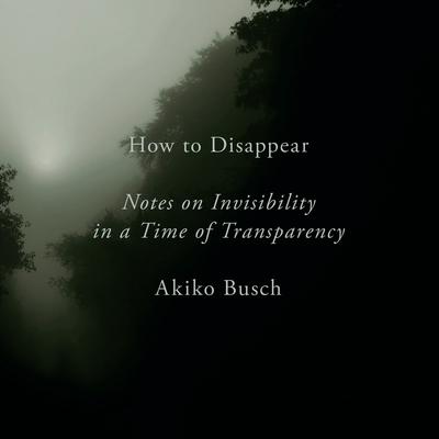 How to Disappear: Notes on Invisibility in a Time of Transparency Audiobook, by Akiko Busch