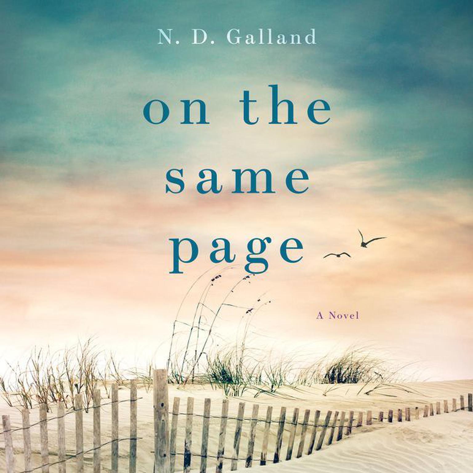 On the Same Page: A Novel Audiobook, by N. D. Galland