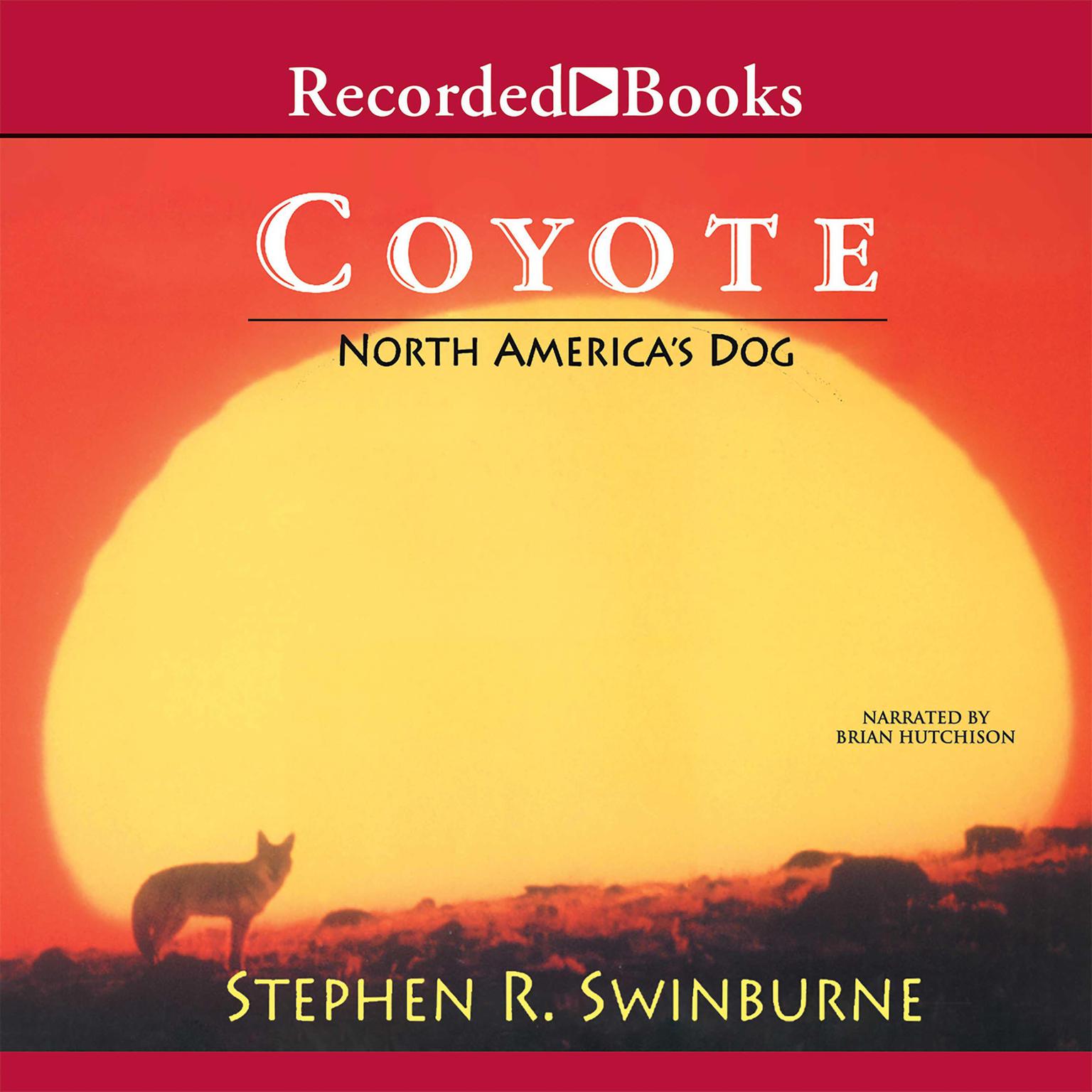 Coyote: North Americas Dog Audiobook, by Stephen R. Swinburne