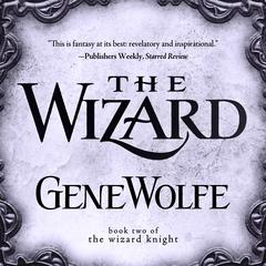 The Wizard: Book Two of The Wizard Knight Audiobook, by 
