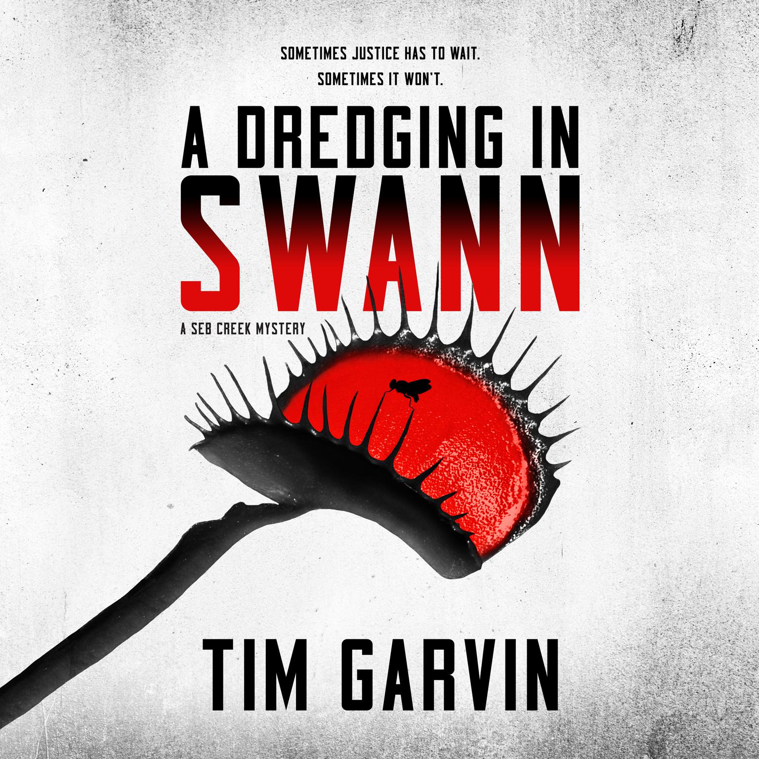 A Dredging in Swann: A Seb Creek Mystery Audiobook, by Tim Garvin
