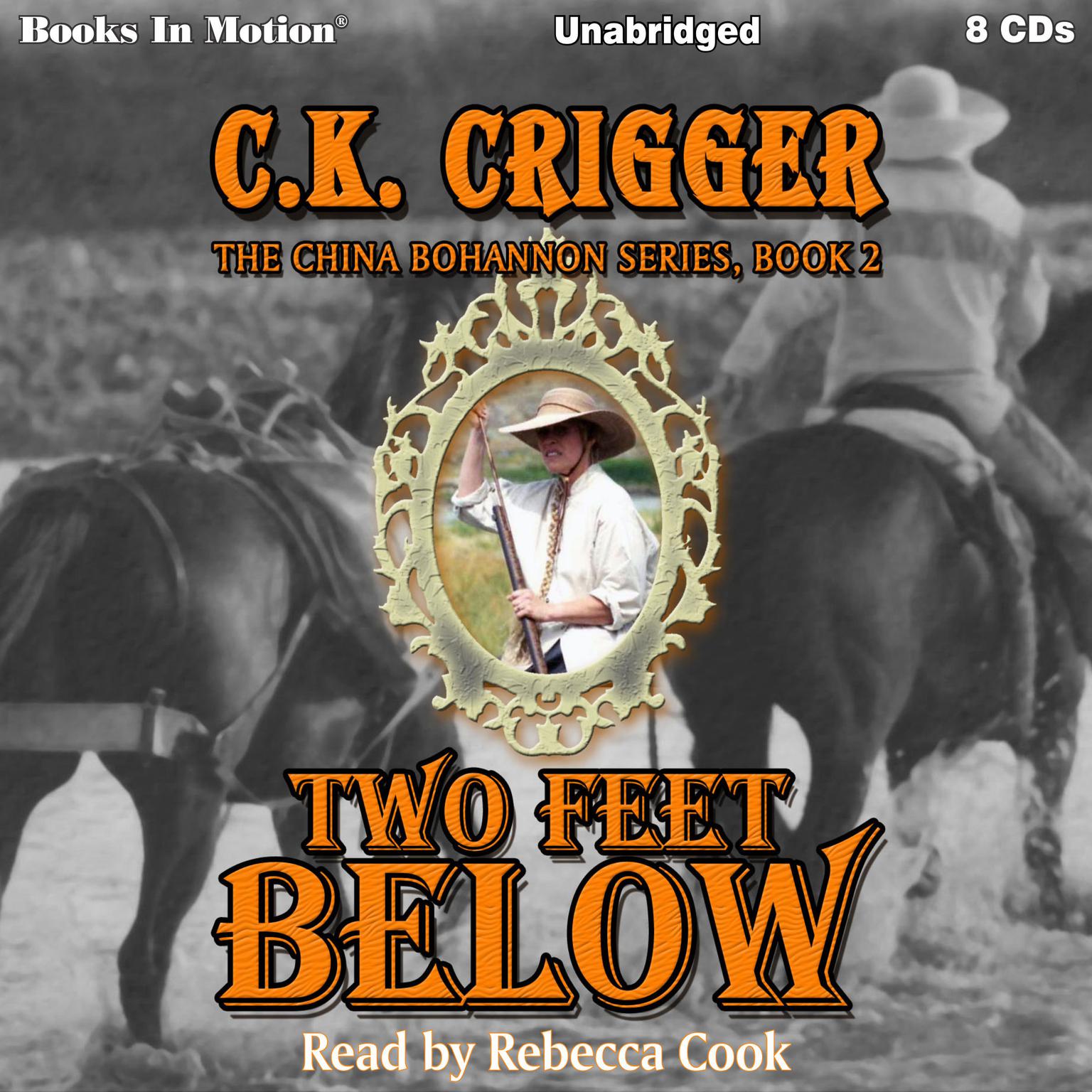 Two Feet Below  Audiobook, by C. Archer