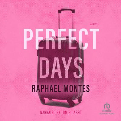 Perfect Days Audiobook, by 