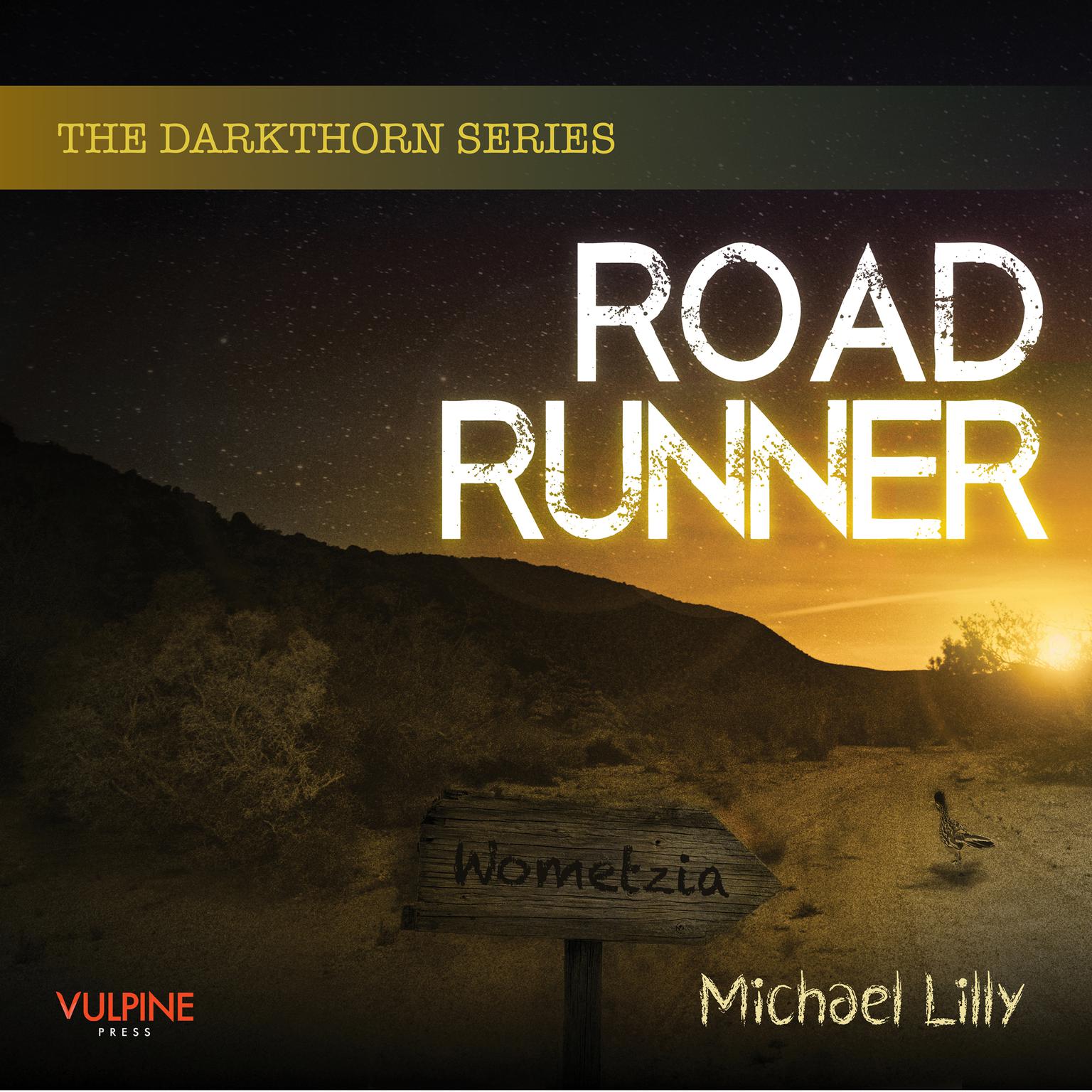 Roadrunner Audiobook, by Michael Lilly