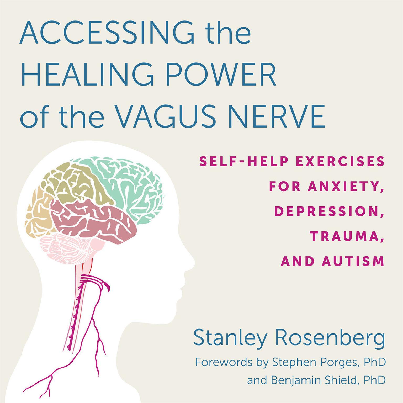 Accessing the Healing Power of the Vagus Nerve: Self-Help Exercises for Anxiety, Depression, Trauma, and Autism Audiobook, by Stanley Rosenberg