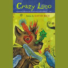 Crazy Loco Audiobook, by David Talbot Rice