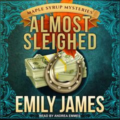 Almost Sleighed Audiobook, by Emily James