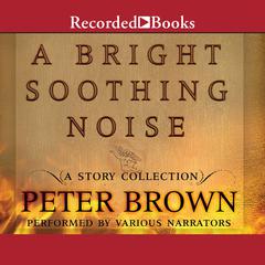 A Bright Soothing Noise Audiobook, by Peter Brown