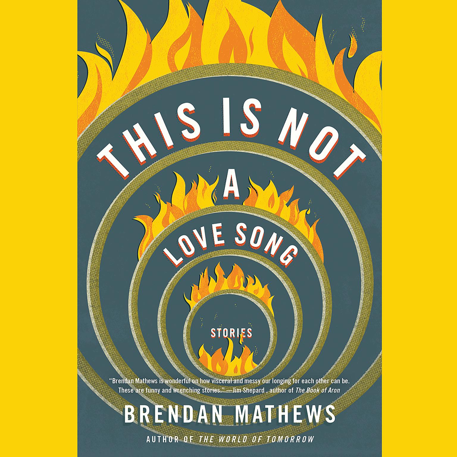 This Is Not a Love Song Audiobook, by Brendan Mathews