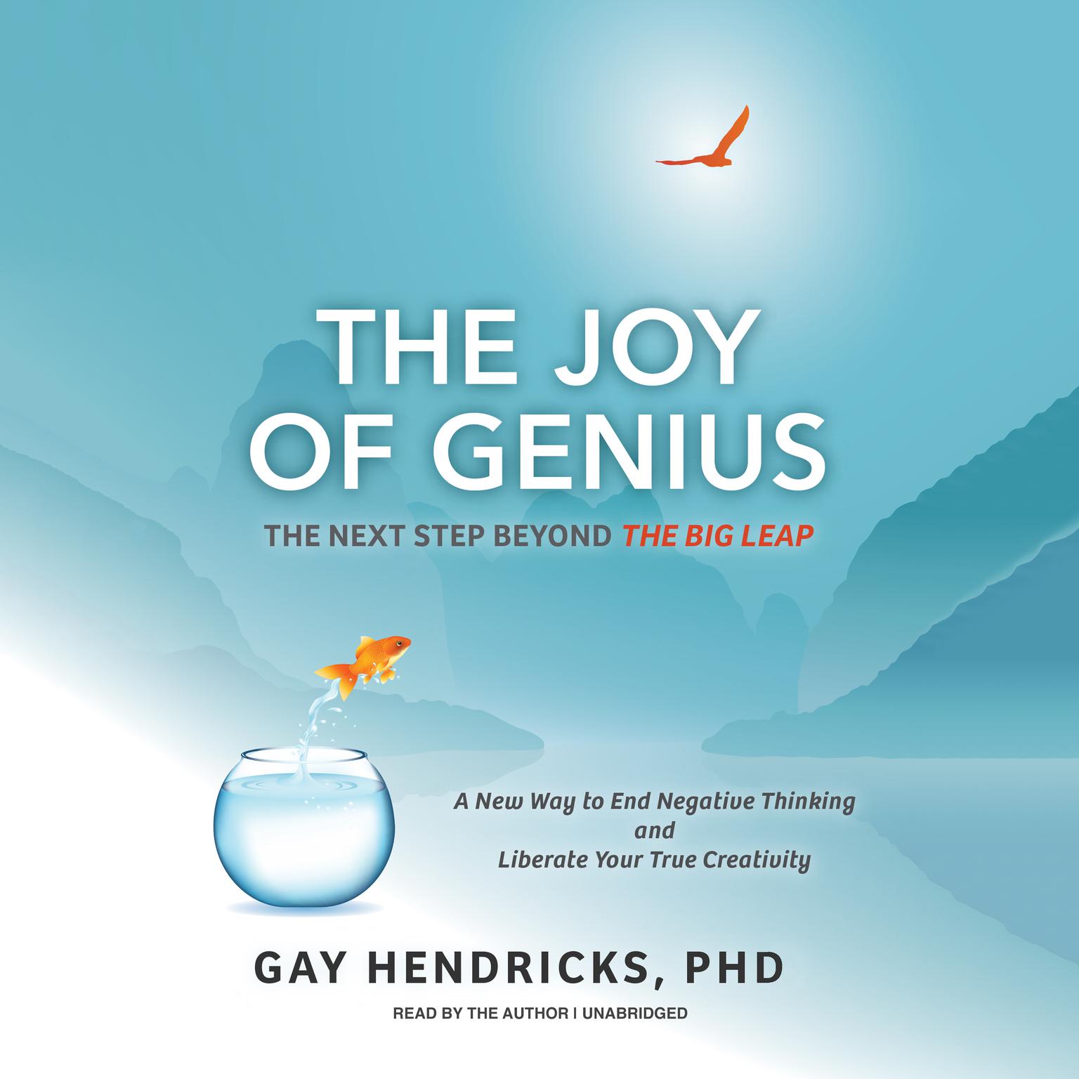 The Joy of Genius: The Next Step beyond The Big Leap Audiobook, by Gay Hendricks