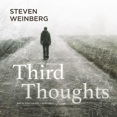 Third Thoughts Audiobook, by Steven Weinberg