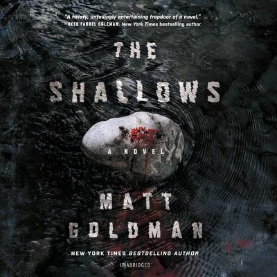 The Shallows Audiobook, by Matt Goldman