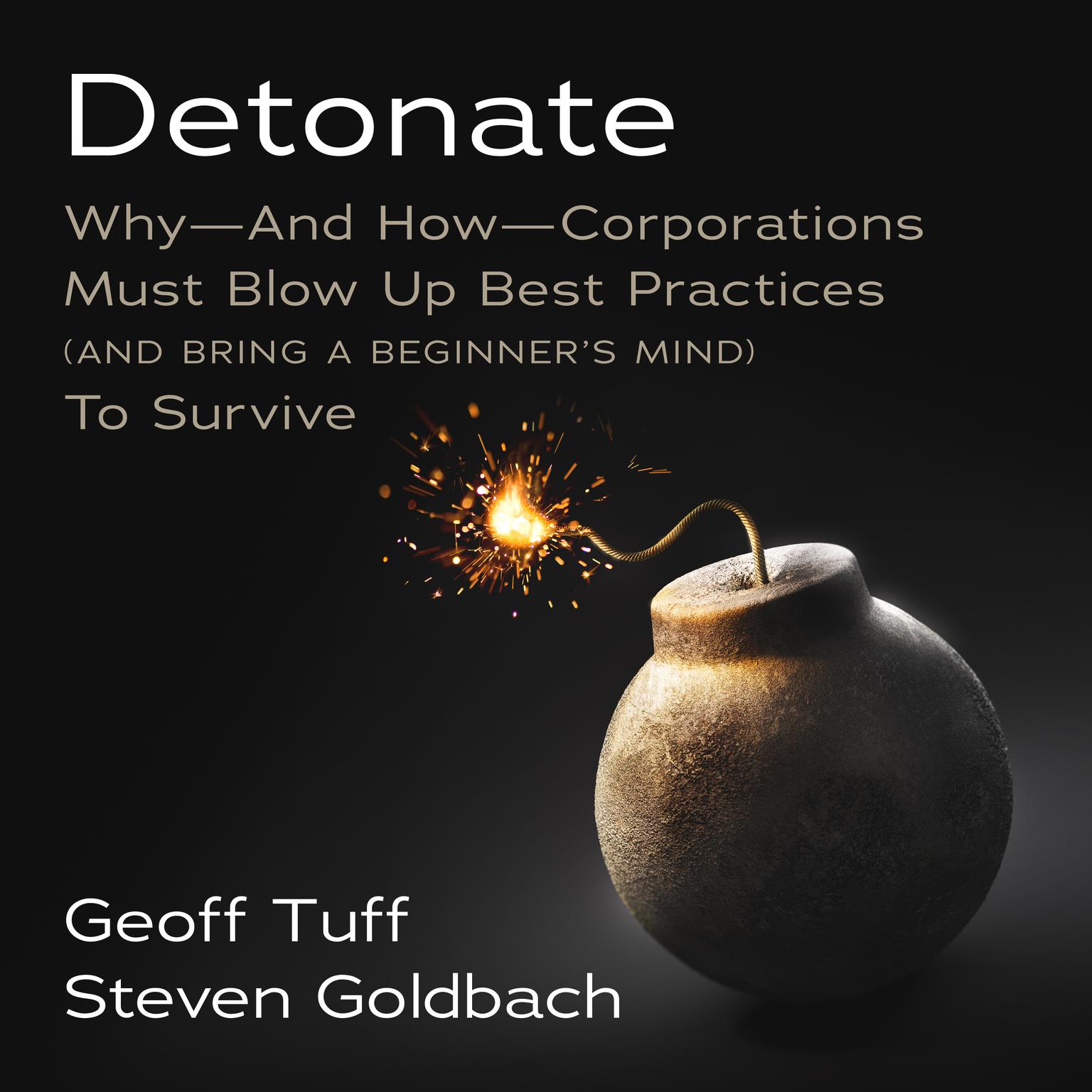 Detonate: Why - And How - Corporations Must Blow Up Best Practices (and bring a beginners mind) To Survive Audiobook, by Geoff Tuff