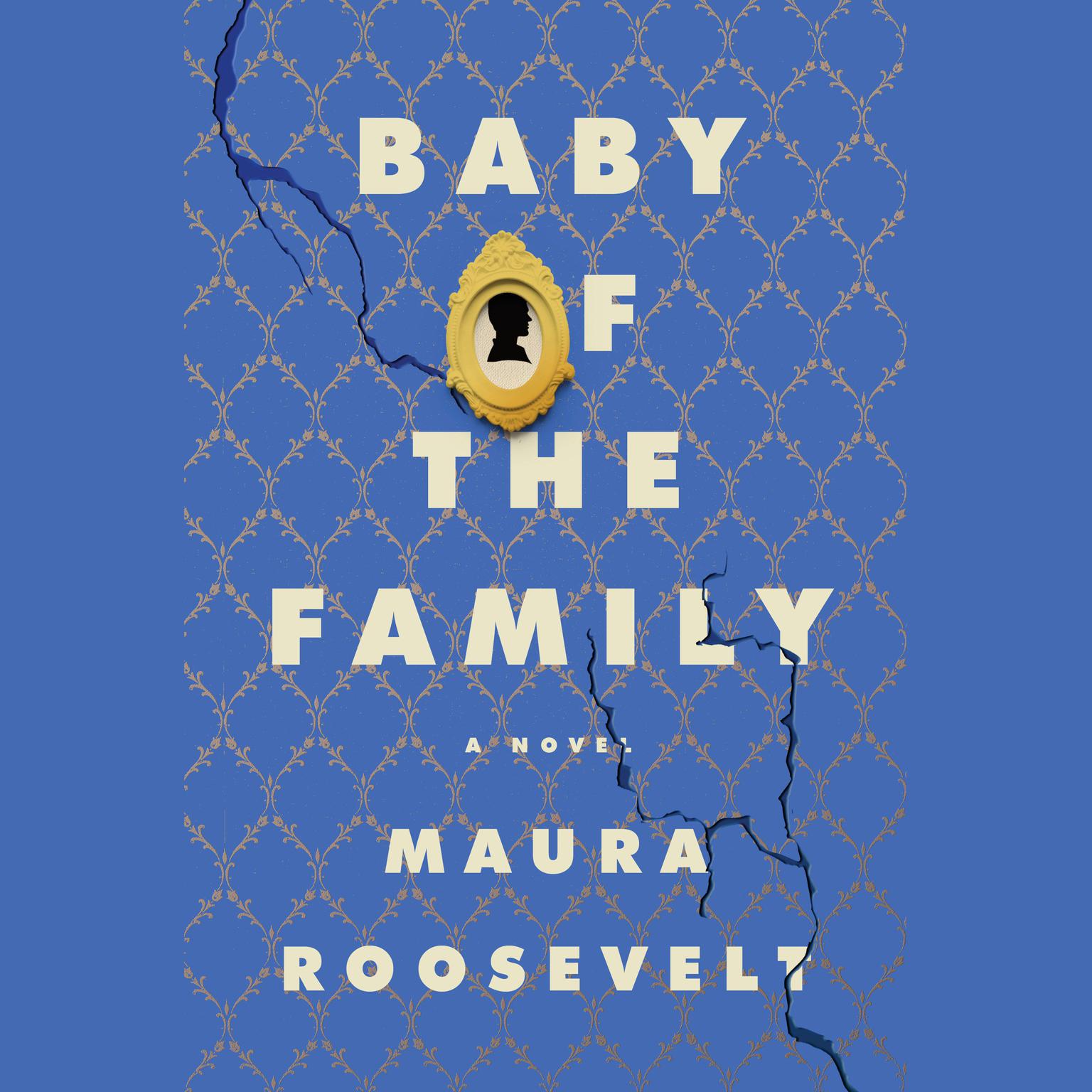 Baby of the Family: A Novel Audiobook, by Maura Roosevelt
