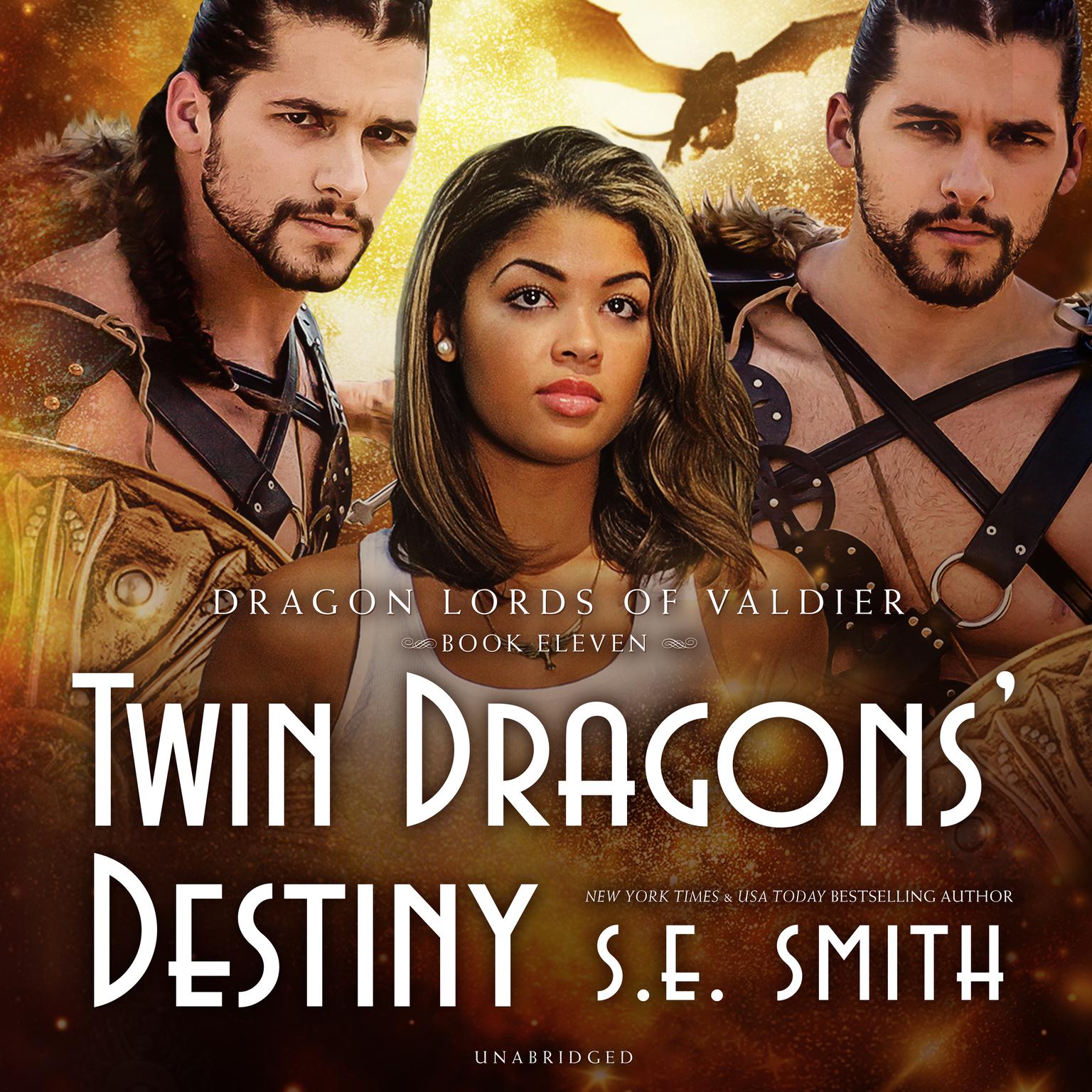 Twin Dragons Destiny Audiobook, by S.E. Smith
