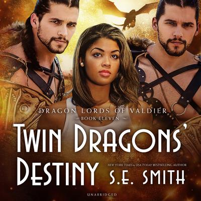 Twin Dragons' Destiny Audiobook, by S.E. Smith