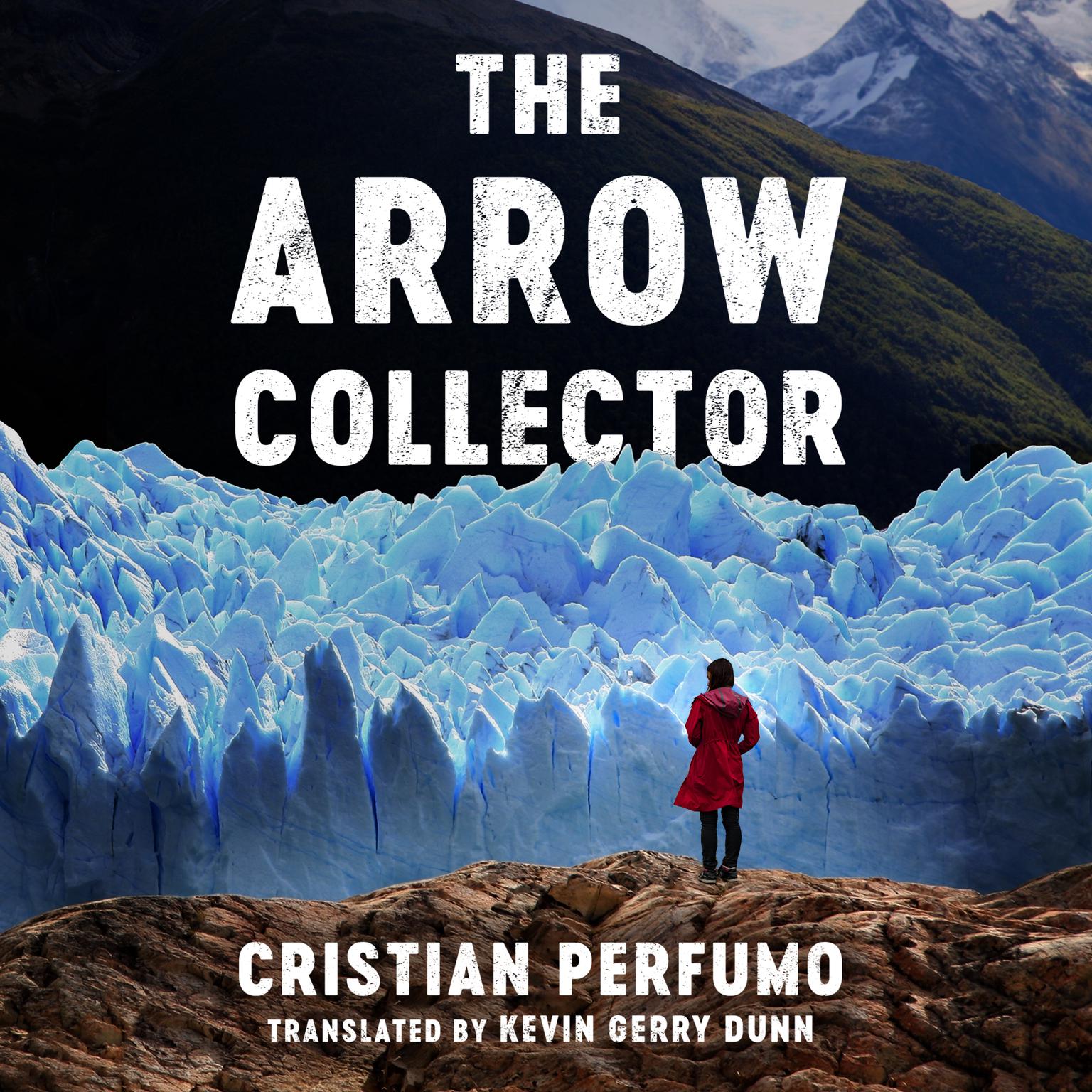The Arrow Collector Audiobook, by Cristian Perfumo