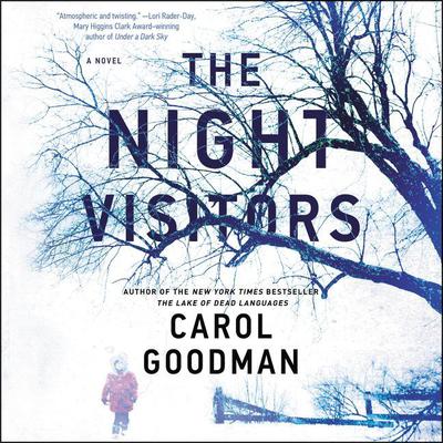 The Night Visitors: A Novel Audiobook, by Carol Goodman