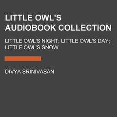 Little Owl's Audiobook Collection: Little Owl's Night; Little Owl's Day; Little Owl's Snow Audiobook, by Divya Srinivasan
