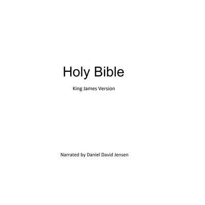 Holy Bible Audiobook, by 