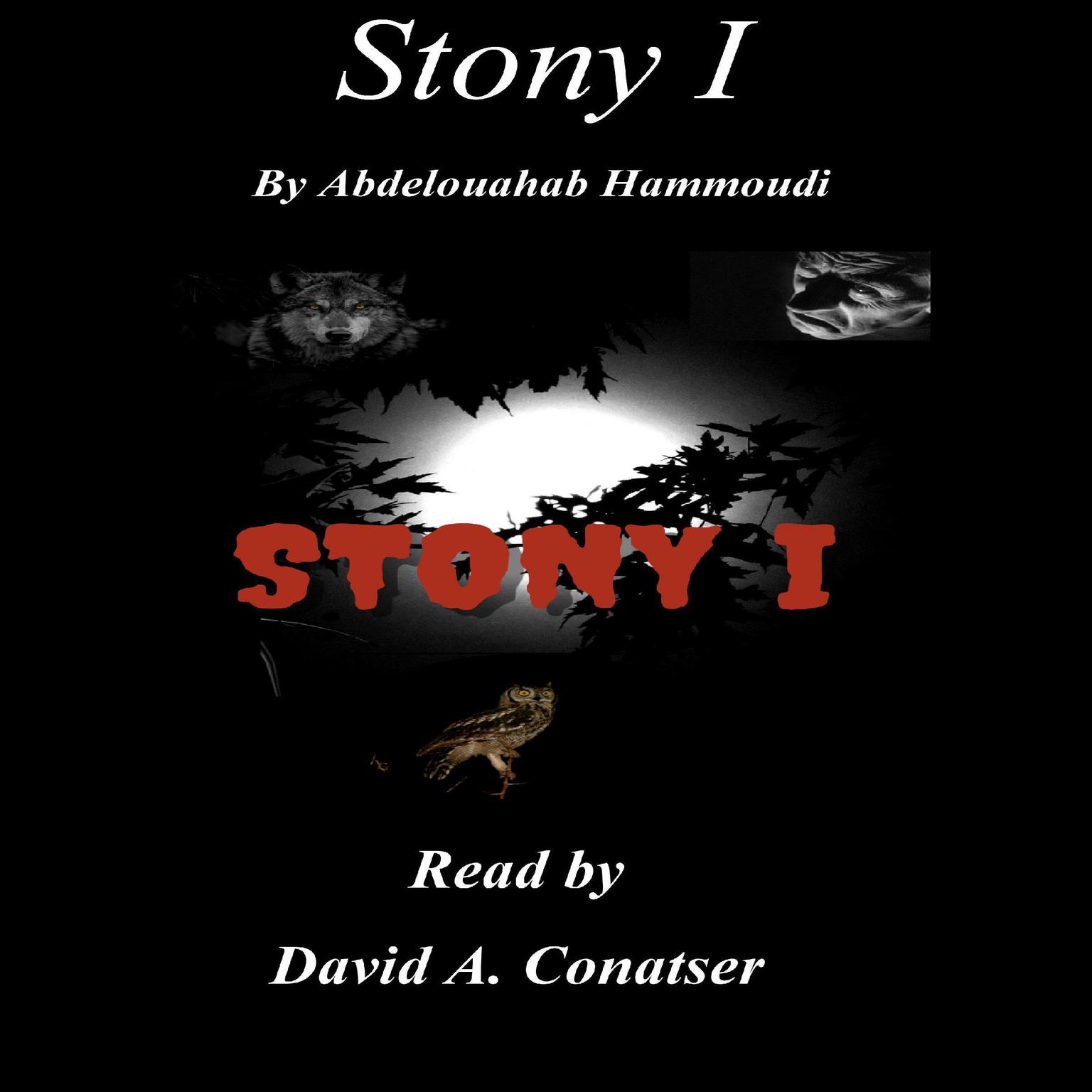 STONY I (Abridged) Audiobook, by Abdelouahab Hammoudi
