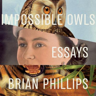 Impossible Owls: Essays Audiobook, by 