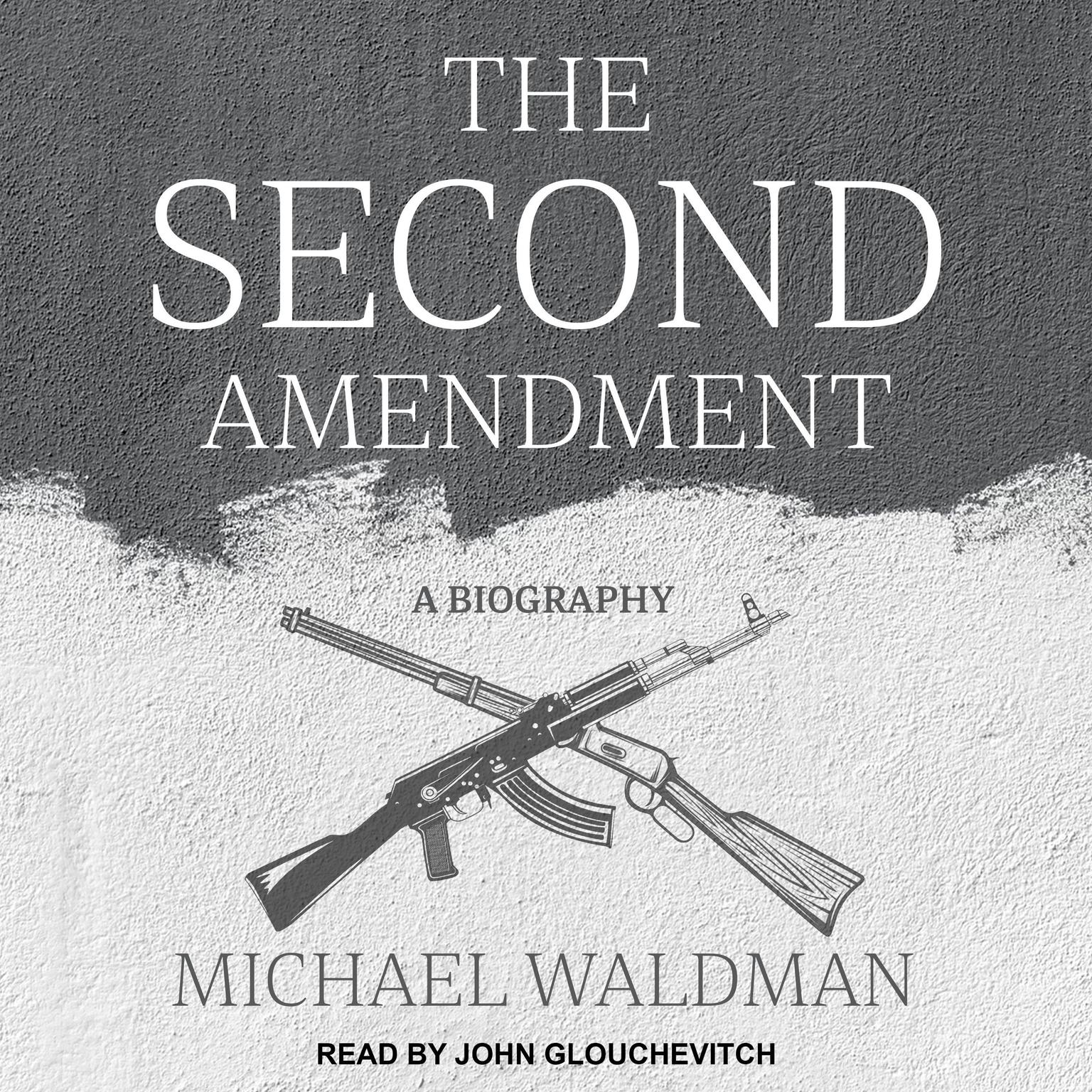 The Second Amendment: A Biography Audiobook, by Michael Waldman
